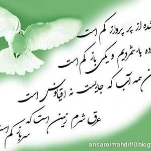 Meet your Posher, Ma